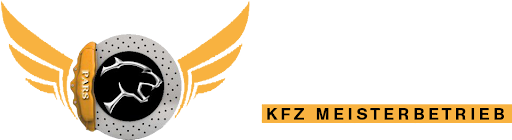 PARSKFZ